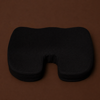 Free Seat Cushion