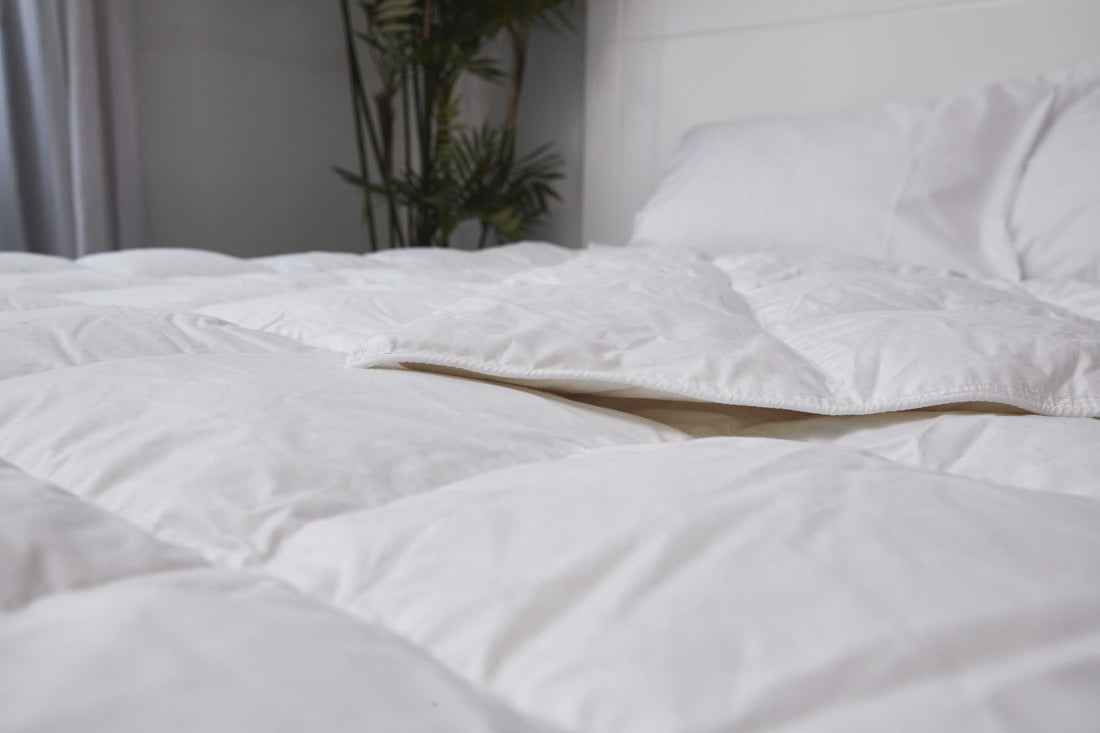 (Plume Select) Summer Duck Feather Duvet