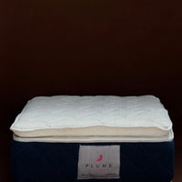 Plume Memory foam Pillow top mattress