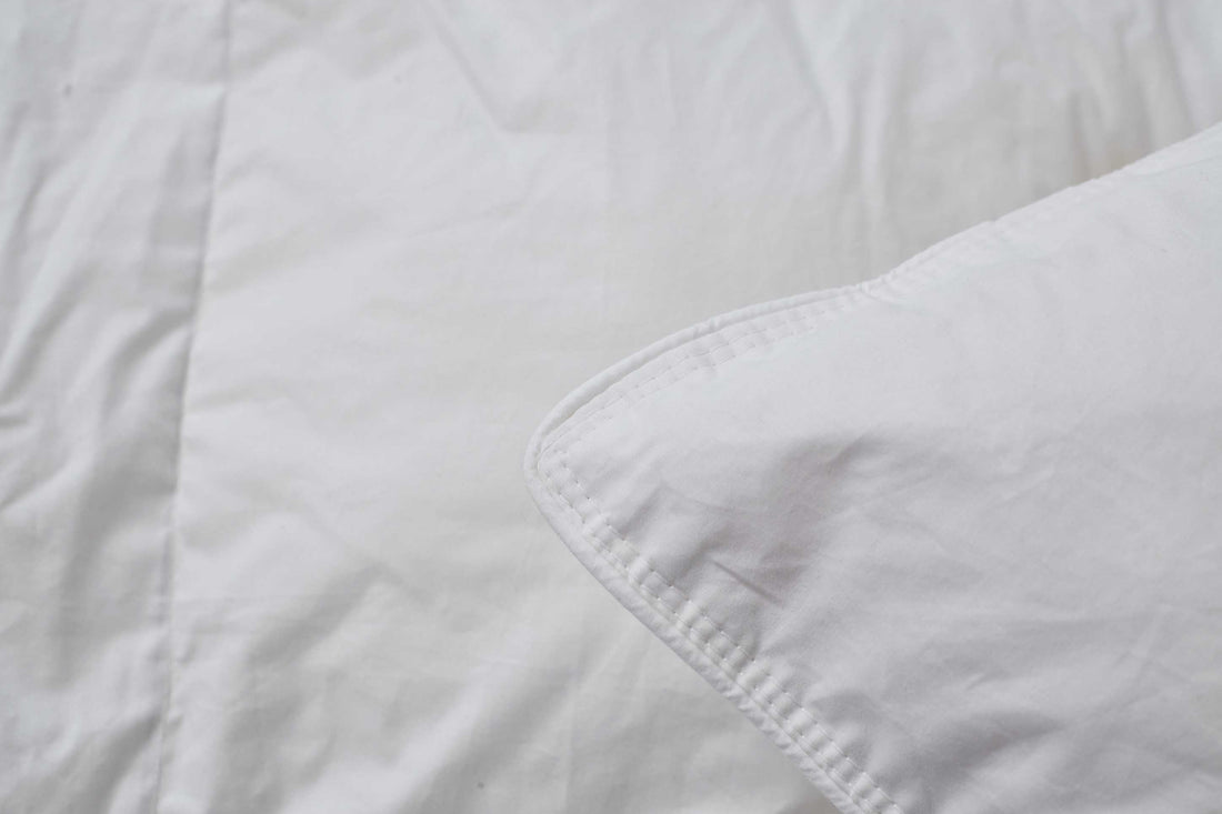 (Plume Select) Blended feather Pillow