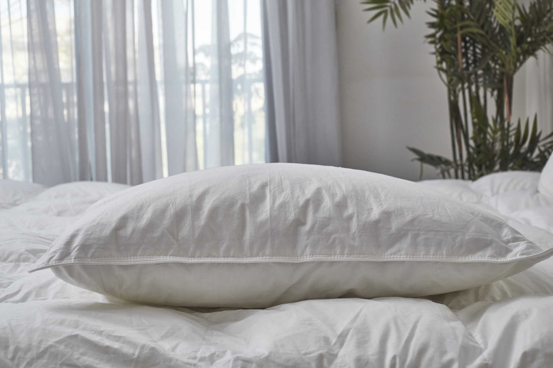 (Plume Select) Blended feather Pillow