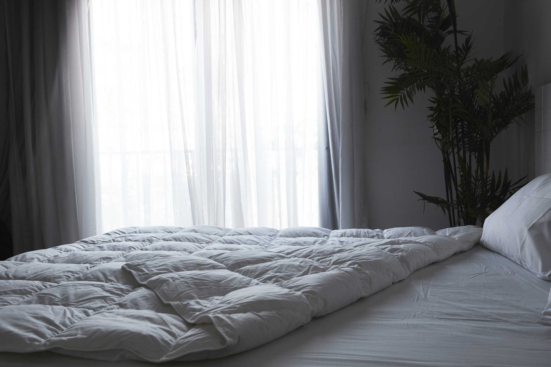 (Plume Select) Summer Duck Feather Duvet