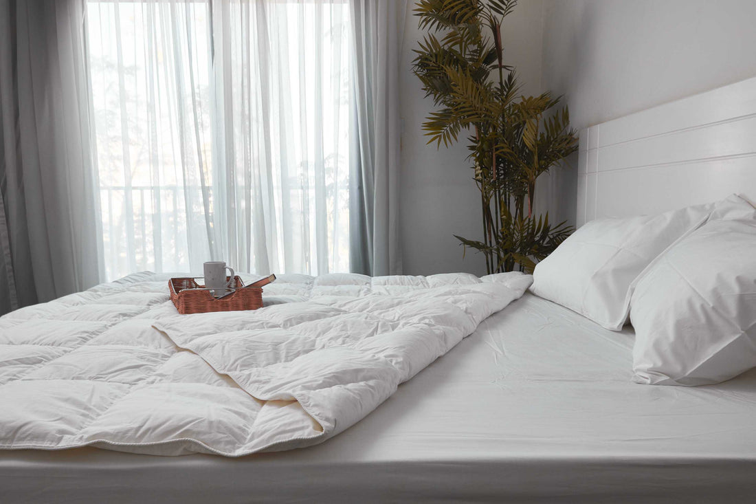 (Plume Select) Summer Duck Feather Duvet