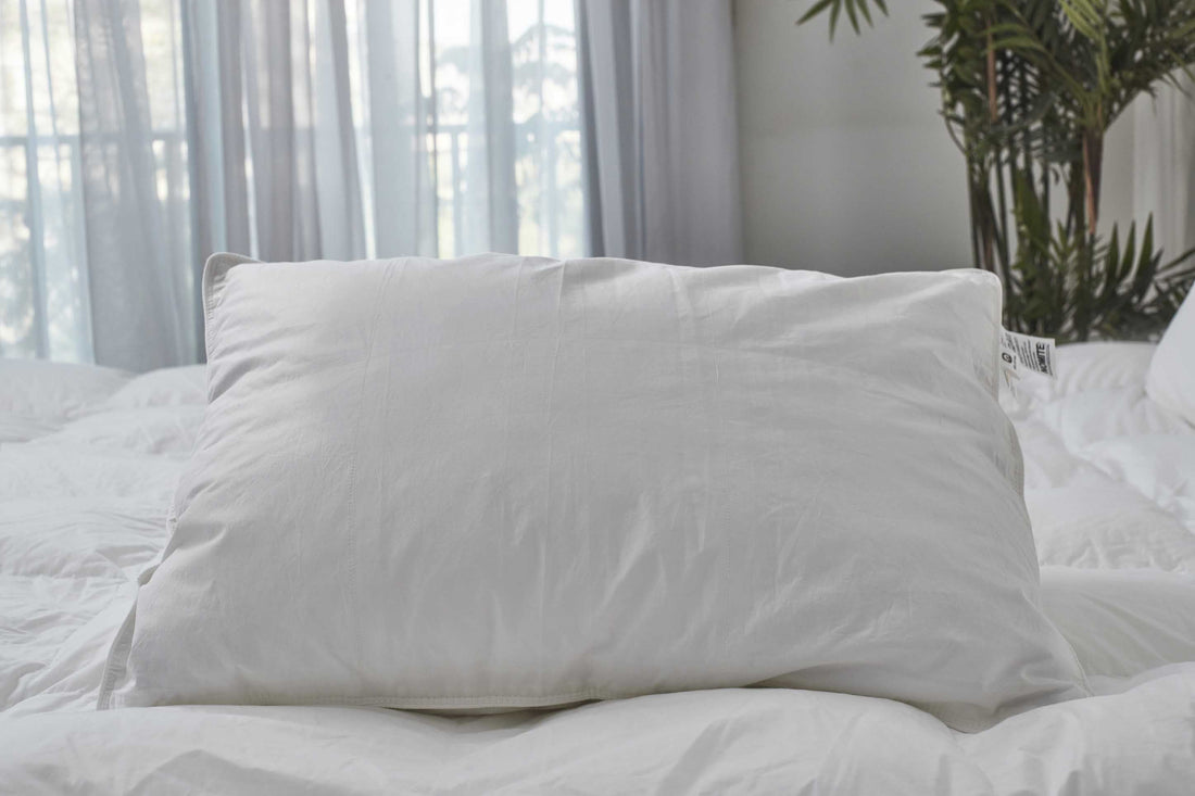 (Plume Select) Blended feather Pillow