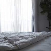 German Winter Duck Feather Duvet