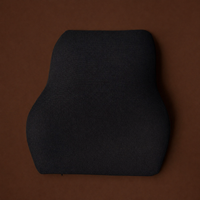 Full Lumbar Support Cushion