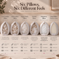 Feather alternative fluffy polydown pillow Set of 2 pillow