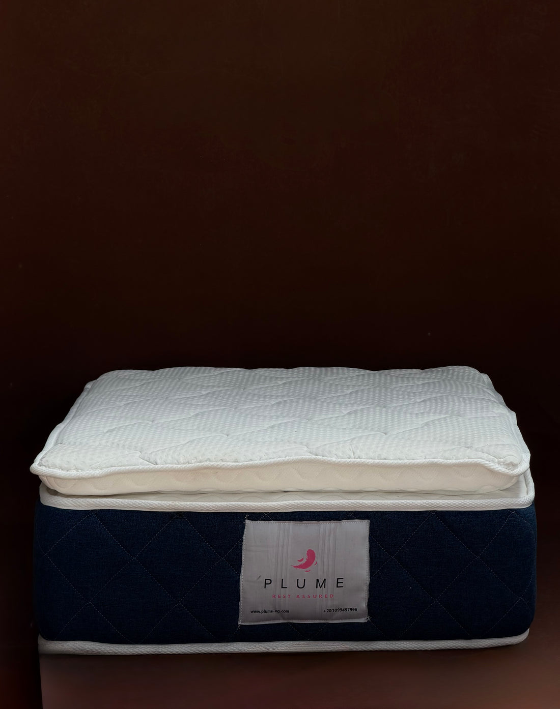 Plume Memory foam Pillow top mattress