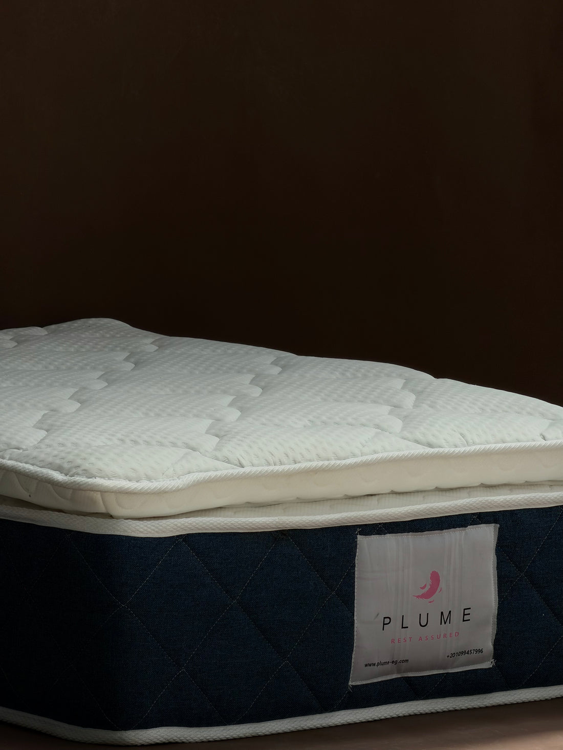 Plume Memory foam Pillow top mattress