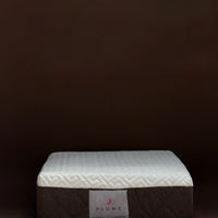 Plume select latex-memory foam mattress