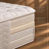 Plume Select Zed Mattress