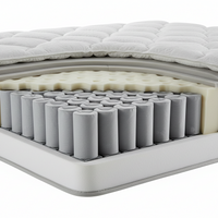 Plume select soft pocket mattress