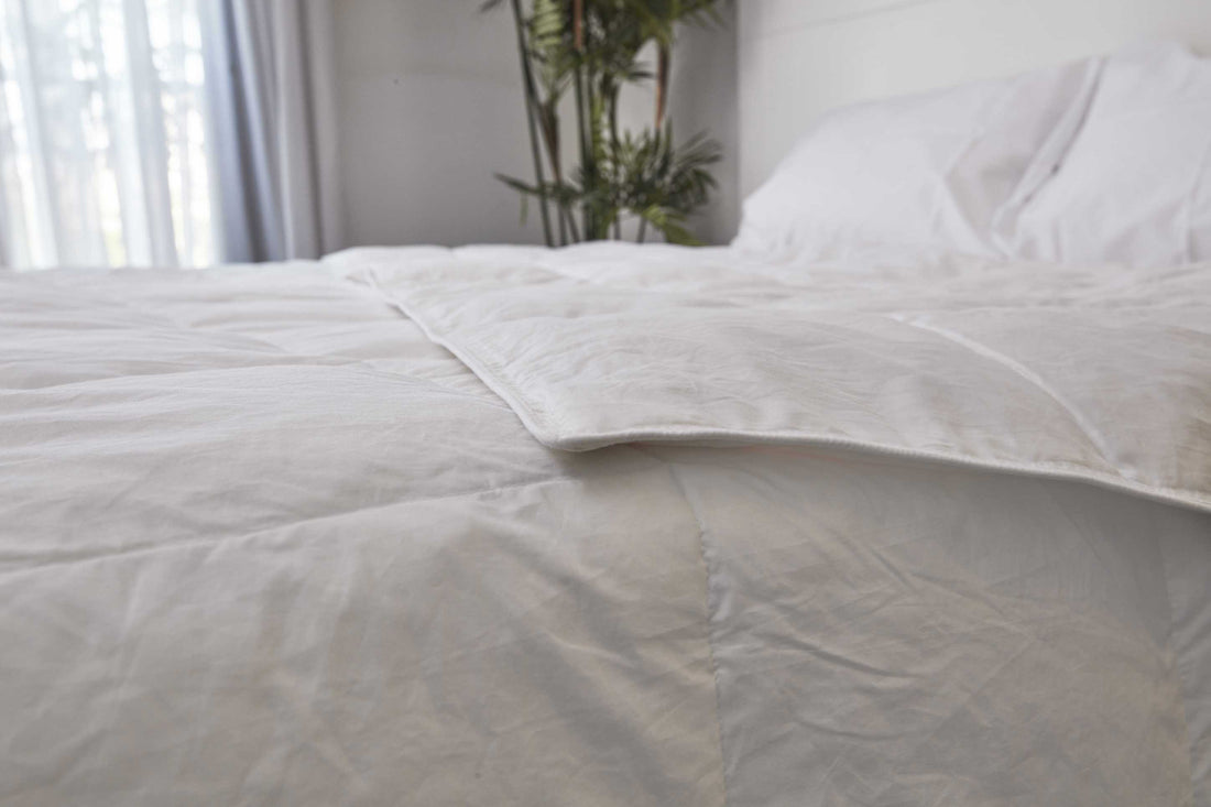 All year Goose Feather Duvet